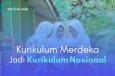  KURIKULUM MERDEKA JADI KURIKULUM NASIONAL