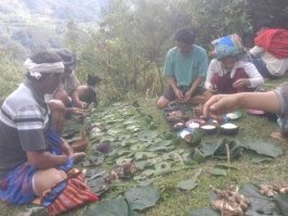 Mangalli Reu, Acara Adat Meminta Kesuburan Rumput di Kecamatan Simbuang