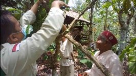Farmer Field School: Manfaat Pemangkasan pada Tanaman Kopi