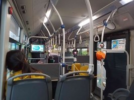 Kenali Kebutuhan Menjelajahi Pulau Jeju, Korea Selatan