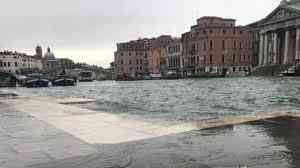 Venesia di Ambang Tenggelam: Alarm Krisis Iklim yang Menggema hingga Forum Internasional