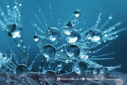 Mengapa Orang Indonesia Malas Jalan Kaki