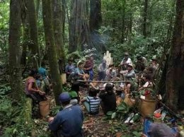 Gambar Hutan Suku Dayak&nbsp;
