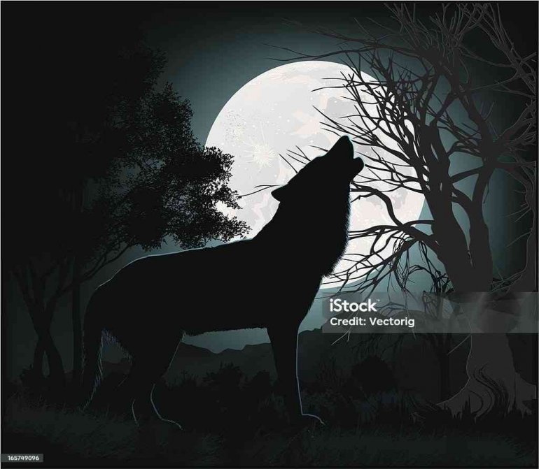 Ilustrasi Gambar&nbsp; https://pixabay.com/id/vectors/serigala-bulan-waktu-malam-bintang-4561204/