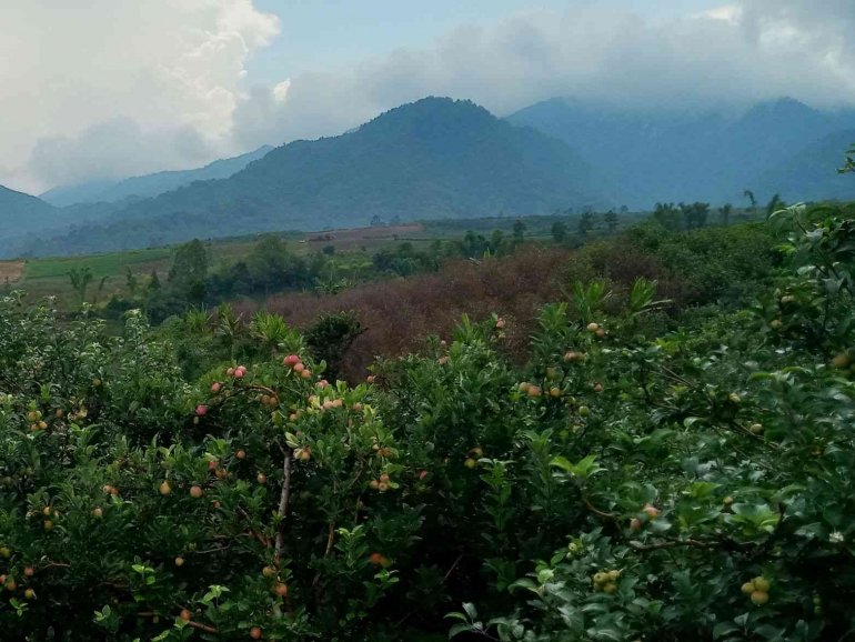 Salah satu sudut Desa Bumiaji. | Dokumen pribadi