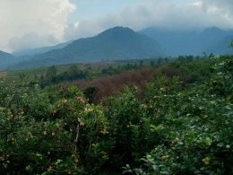 Salah satu sudut Desa Bumiaji. | Dokumen pribadi