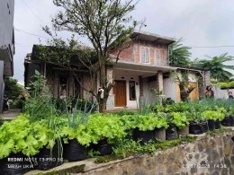 Pemanfaatan lahan sempit tepat di depan rumah Mbak Anjani. | Dokumen pribadi