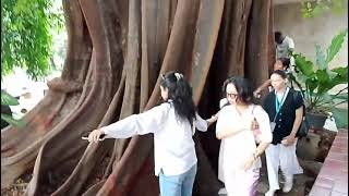 ?php echo $p['curates'][0]['title']; ?>